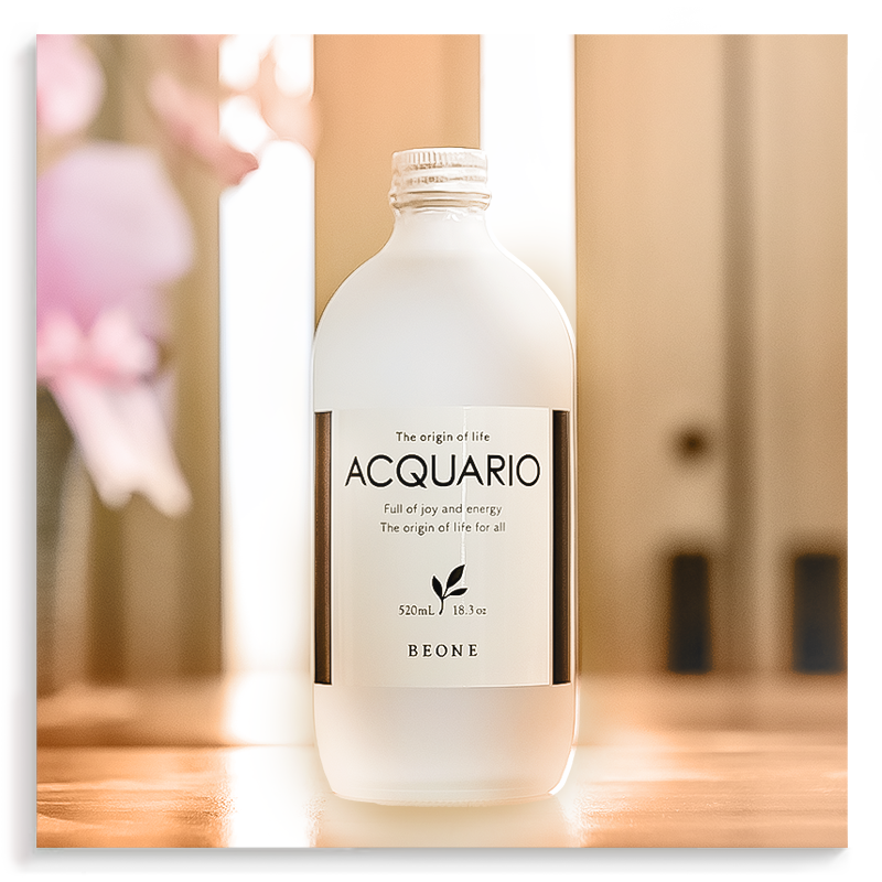 ビーワン・ヴィーダブル